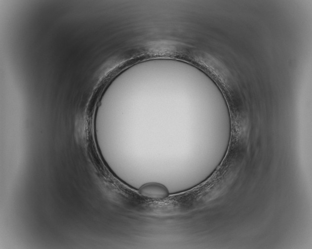 X0000116680583200912211625