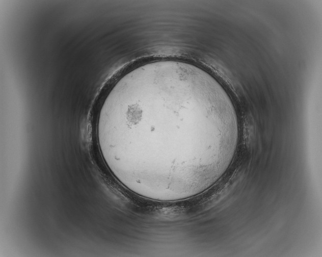 X0000116680584200912211625