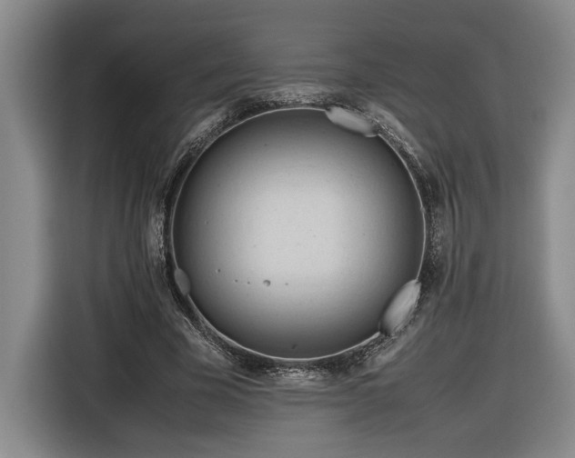 X0000116680585200912211625