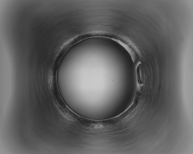 X0000116680588200912211625