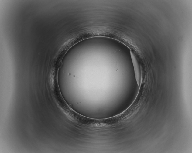 X0000116680590200912211625