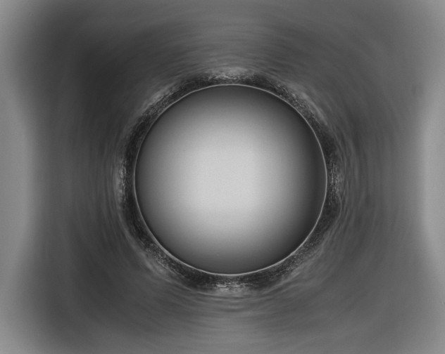 X0000116680591200912211625