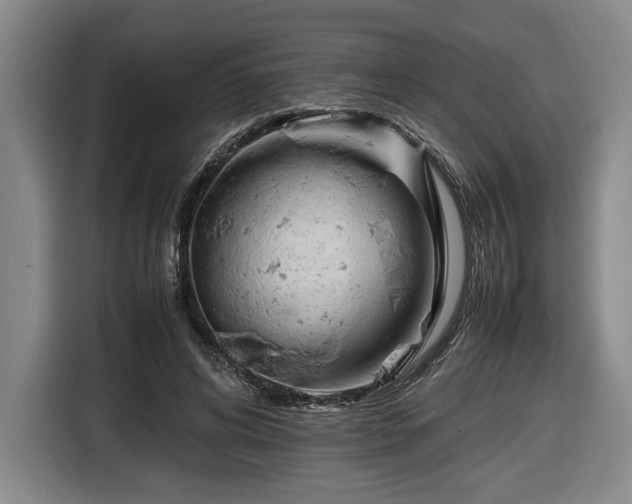 X0000116680592200912211625