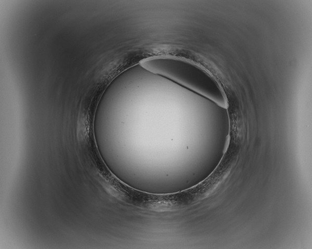 X0000116680593200912211625