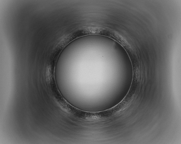 X0000116680594200912211625