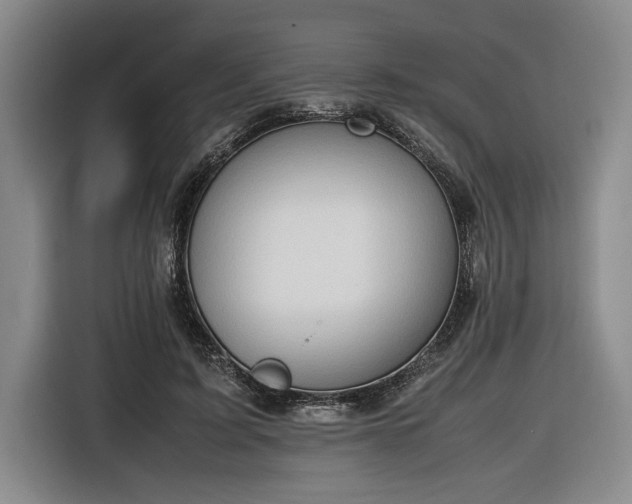 X0000116680595200912211625