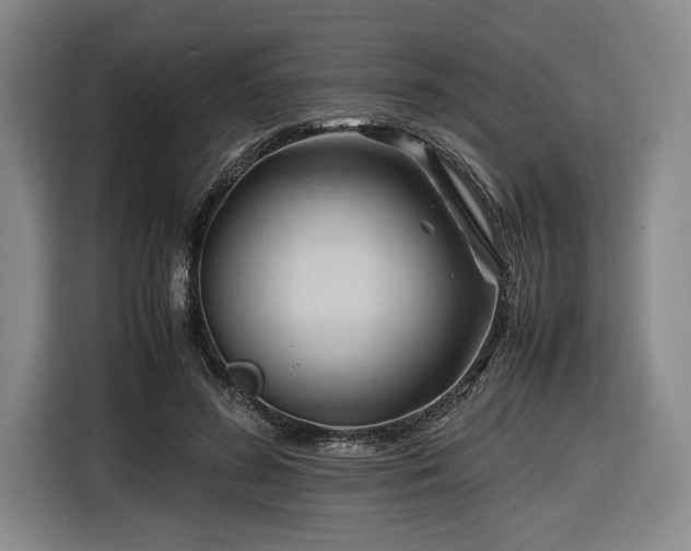 X0000116680596200912211625