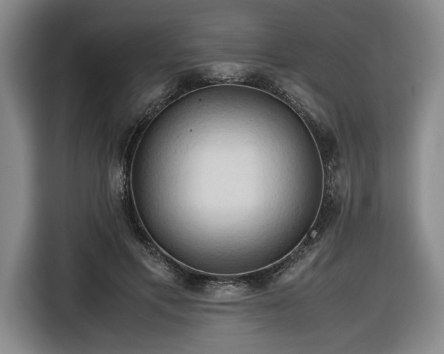 X0000116680597200912211625