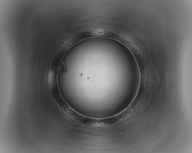 X0000116680598200912211625