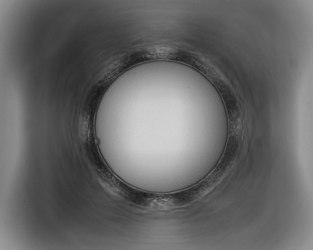 X0000116680599200912211625