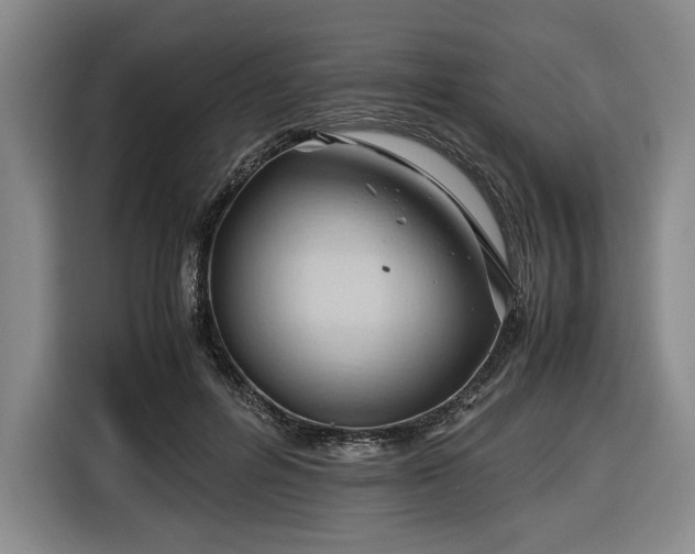 X0000116680600200912211625