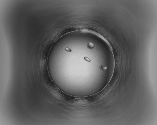 X0000116680601200912211625