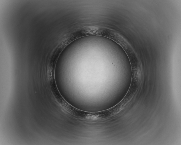 X0000116680602200912211625