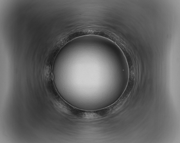 X0000116680605200912211625