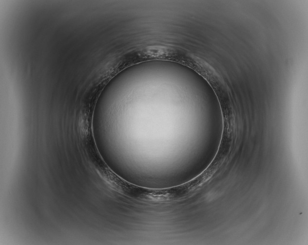 X0000116680606200912211625