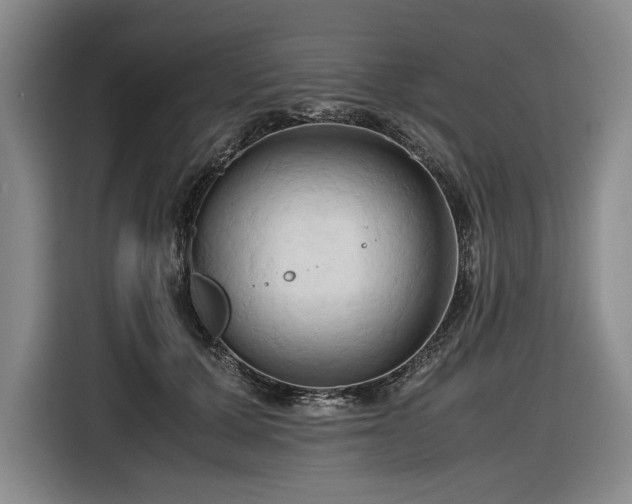 X0000116680607200912211625