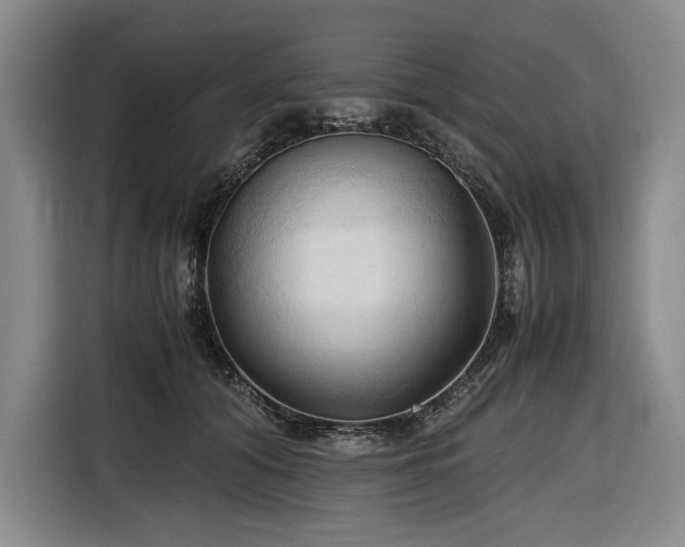 X0000116680608200912211625