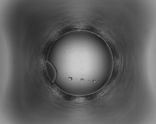 X0000116680609200912211625