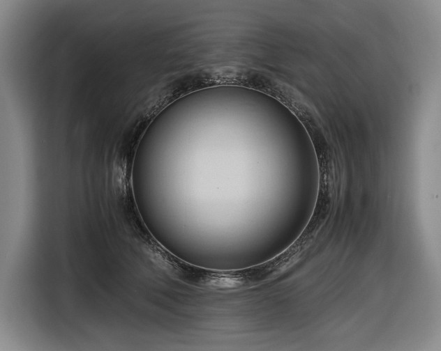 X0000116680610200912211625