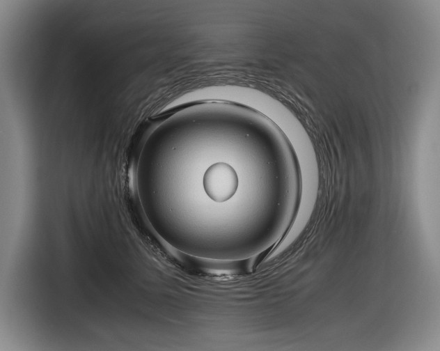 X0000116680611200912211625