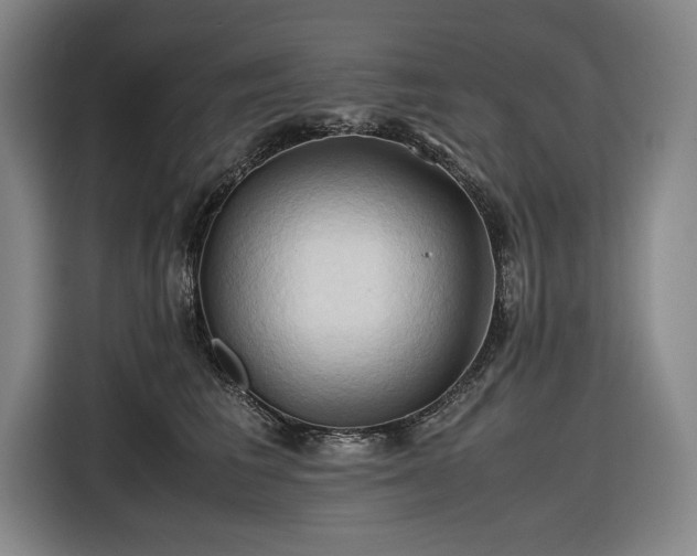 X0000116680613200912211625