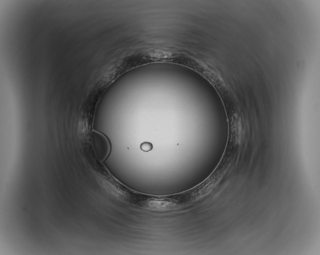 X0000116680614200912211625