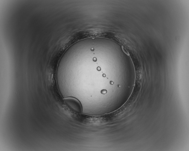 X0000116680615200912211625