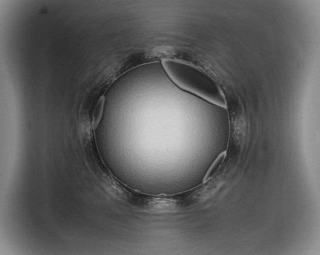 X0000116680617200912211625