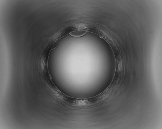 X0000116680618200912211625