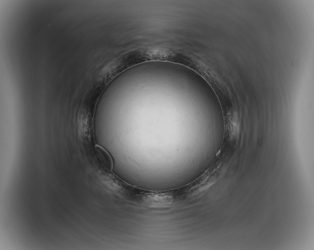 X0000116680619200912211625