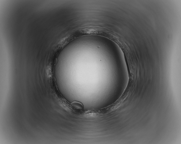 X0000116680620200912211625