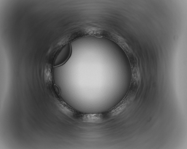 X0000116680622200912211625