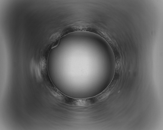 X0000116680623200912211625