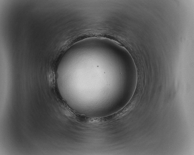 X0000116680624200912211625