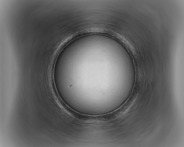 X0000116680625200912211624