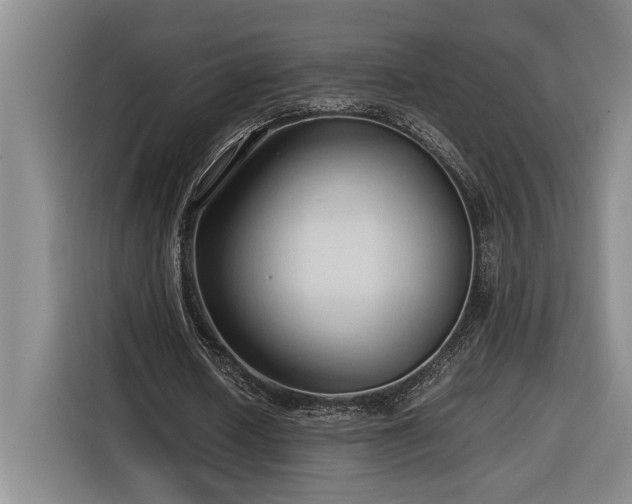 X0000116680626200912211624