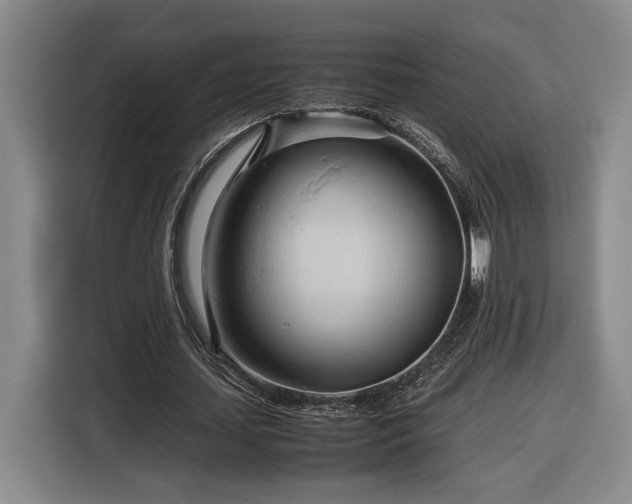 X0000116680627200912211624