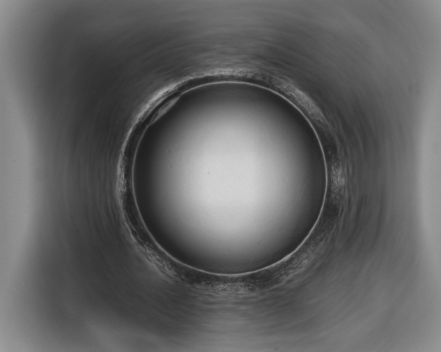 X0000116680628200912211624