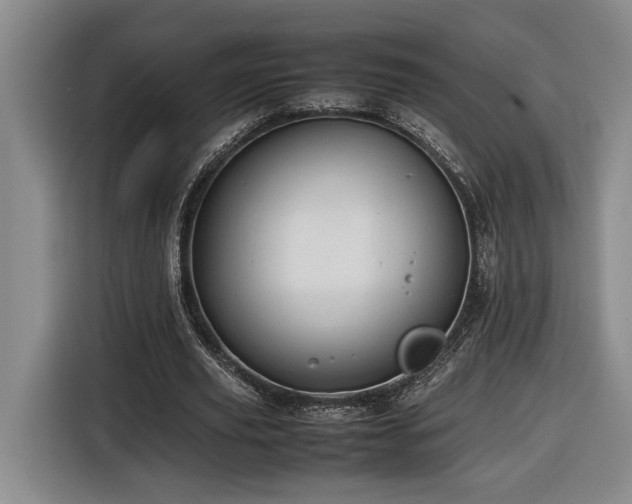 X0000116680629200912211624