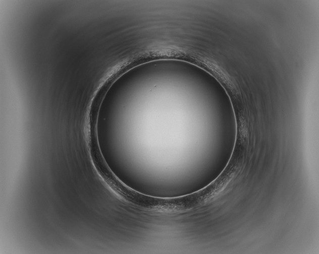 X0000116680630200912211624