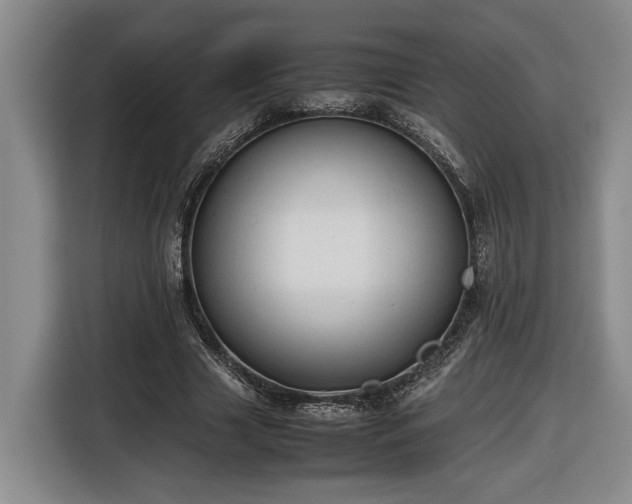 X0000116680633200912211624