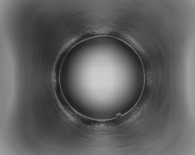 X0000116680634200912211624