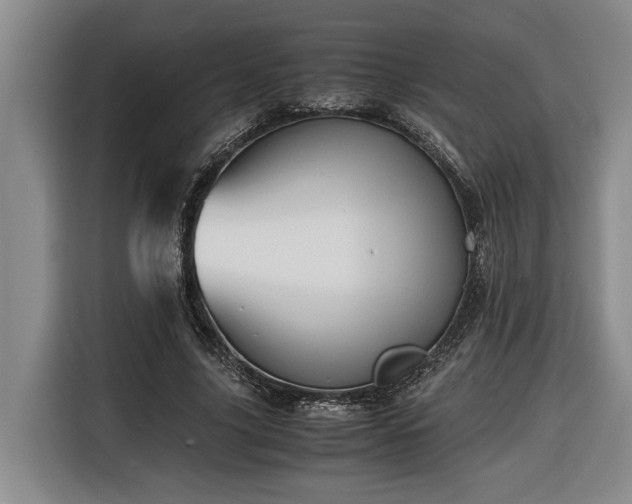 X0000116680635200912211624