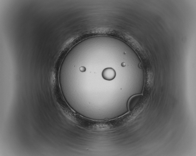 X0000116680636200912211624