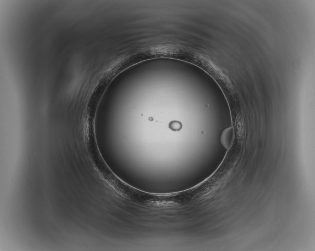 X0000116680637200912211624