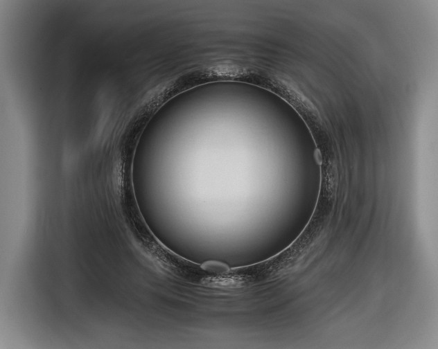 X0000116680639200912211624