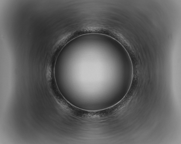 X0000116680640200912211624