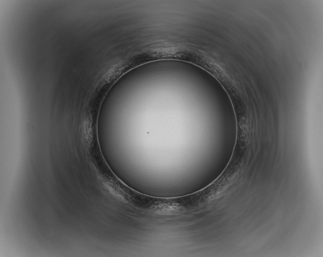 X0000116680642200912211624