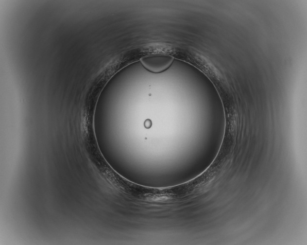 X0000116680643200912211624