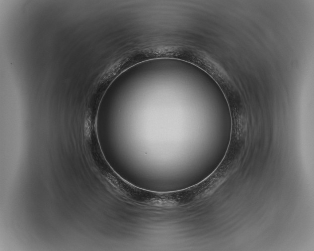 X0000116680644200912211624